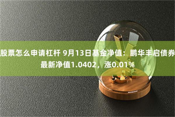 股票怎么申请杠杆 9月13日基金净值：鹏华丰启债券最新净值1.0402，涨0.01%