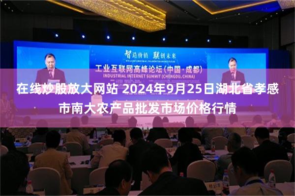 在线炒股放大网站 2024年9月25日湖北省孝感市南大农产品批发市场价格行情