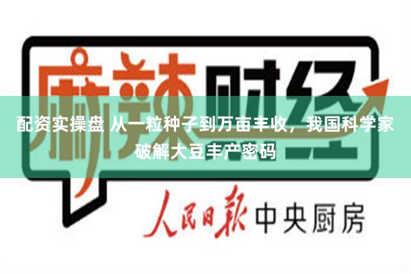 配资实操盘 从一粒种子到万亩丰收，我国科学家破解大豆丰产密码