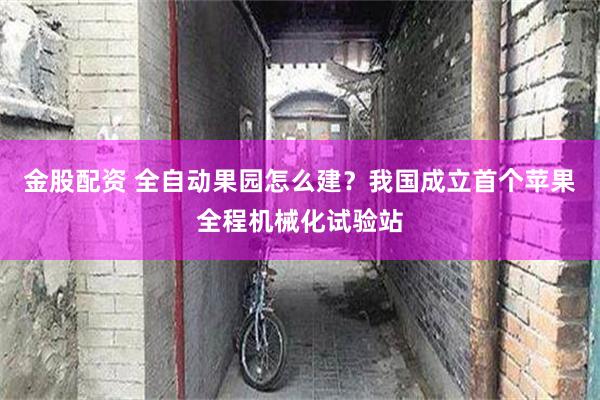 金股配资 全自动果园怎么建？我国成立首个苹果全程机械化试验站