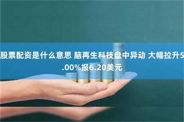 股票配资是什么意思 脑再生科技盘中异动 大幅拉升5.00%报6.20美元