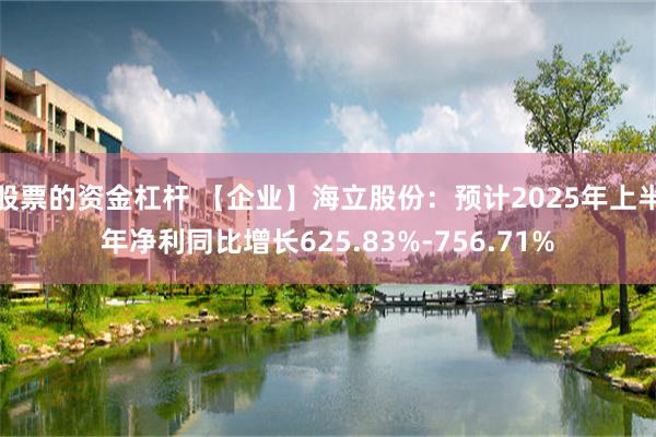股票的资金杠杆 【企业】海立股份：预计2025年上半年净利同比增长625.83%-756.71%