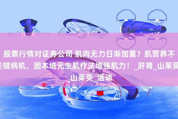股票行情对证券公司 肌肉无力日渐加重？肌营养不良的关键病机，固本培元生肌疗法增强肌力！_肝肾_山茱萸_活动
