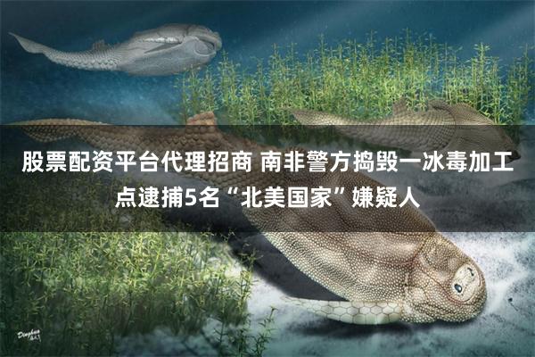 股票配资平台代理招商 南非警方捣毁一冰毒加工点逮捕5名“北美国家”嫌疑人