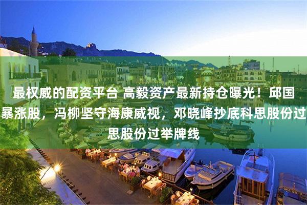 最权威的配资平台 高毅资产最新持仓曝光！邱国鹭捕获暴涨股，冯柳坚守海康威视，邓晓峰抄底科思股份过举牌线