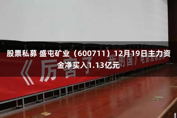 股票私募 盛屯矿业（600711）12月19日主力资金净买入1.13亿元