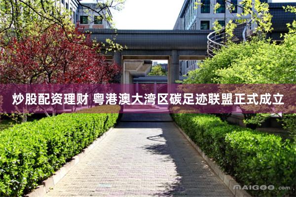 炒股配资理财 粤港澳大湾区碳足迹联盟正式成立