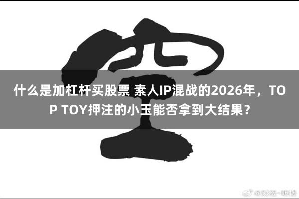 什么是加杠杆买股票 素人IP混战的2026年，TOP TOY押注的小玉能否拿到大结果？